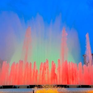 Meet your Posher, Lizzie